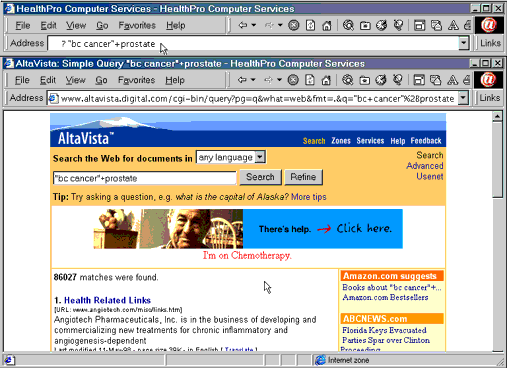 AltaVista in Internet Explorer. Search phrase entered in the Address bar (top) and Search results in the main Explorer window (bottom).